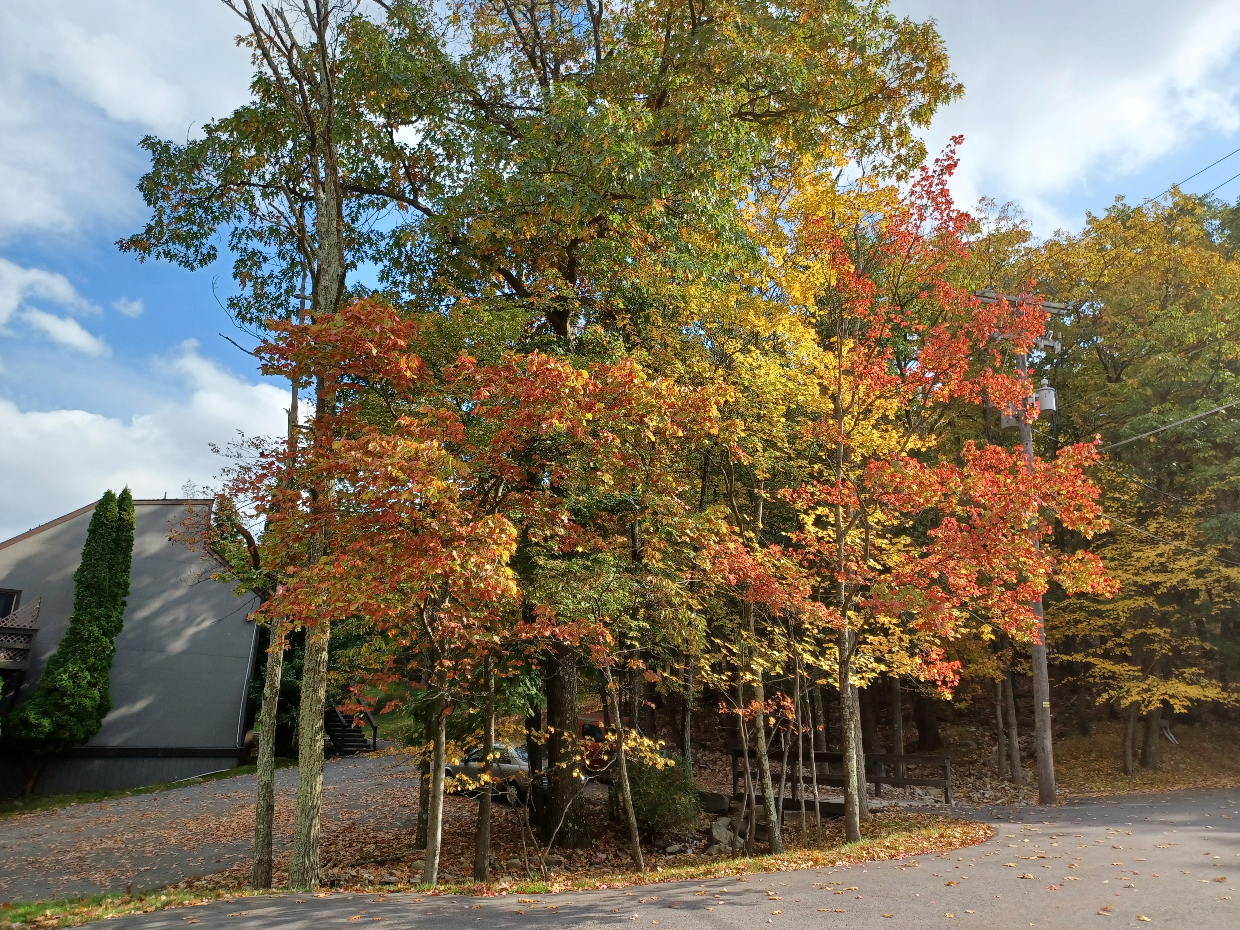 Fall foliage Village at Camelback