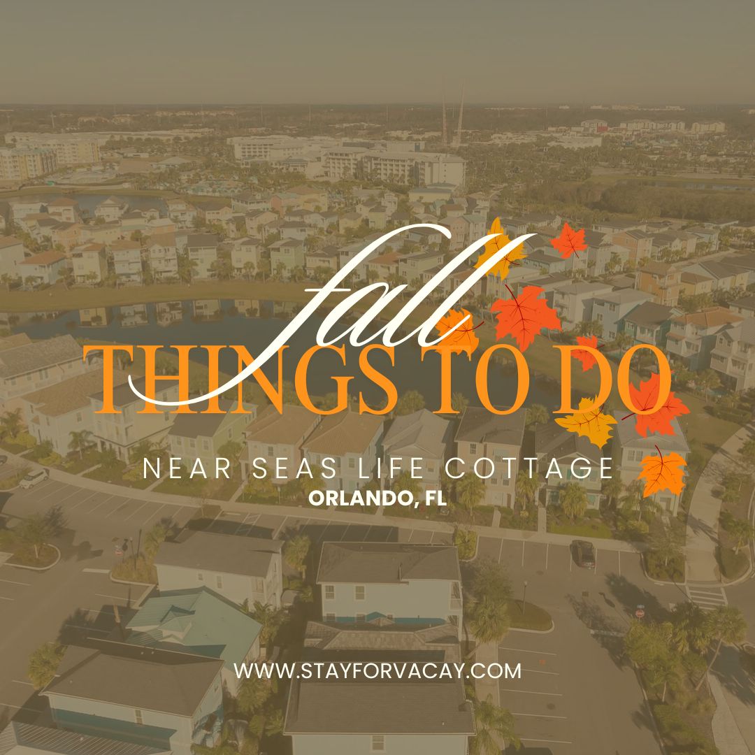 things to do orlando margaritaville